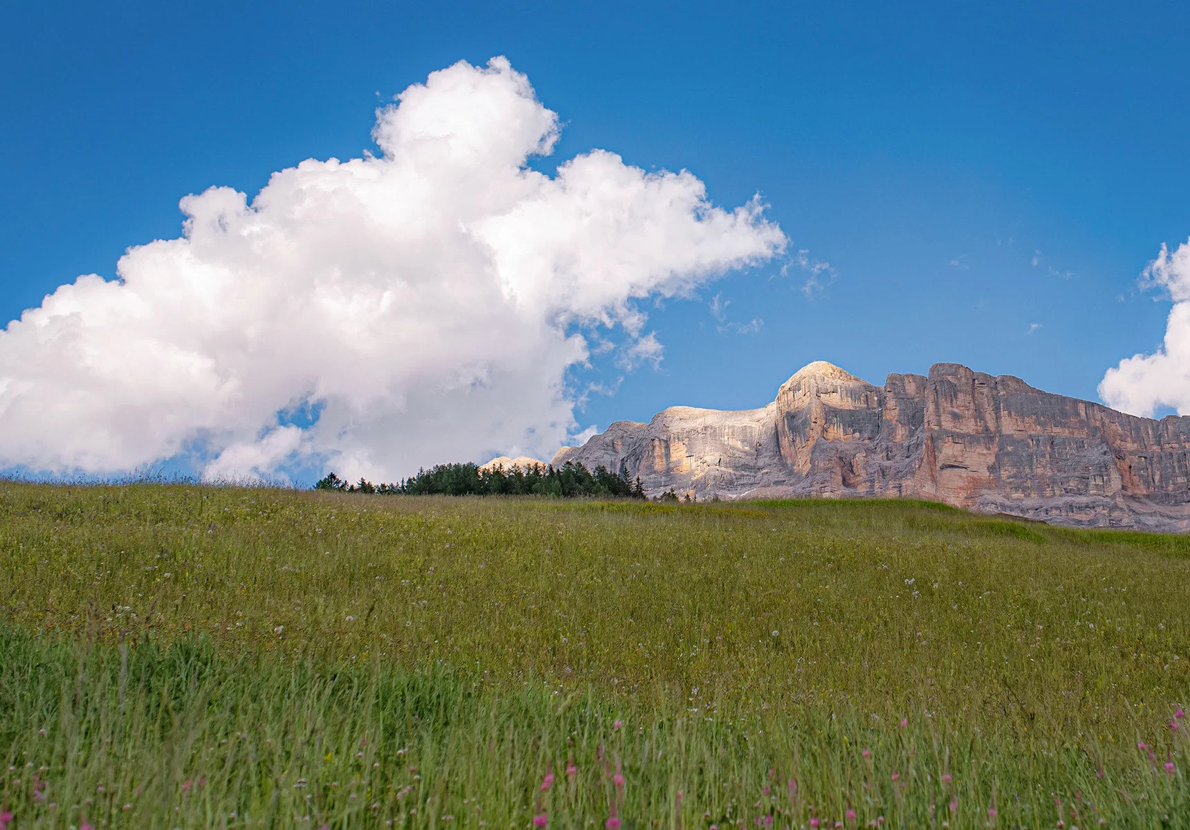 Dolomitiscape Chalet View