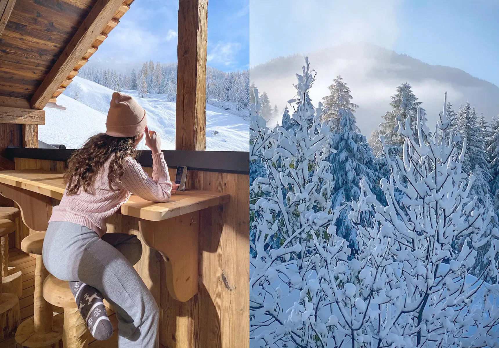 Terrace Detail & Snow-covered forest